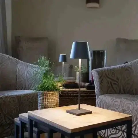 Elegant Cordless Lamp by Zendrop in a cozy living room setting with stylish decor and plants.
